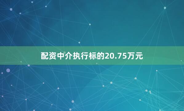 配资中介执行标的20.75万元