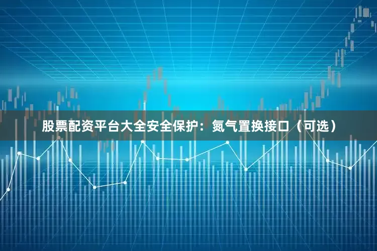 股票配资平台大全安全保护：氮气置换接口（可选）