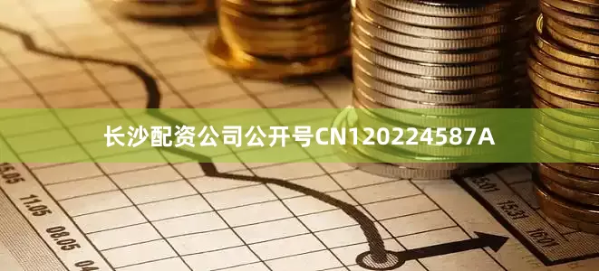 长沙配资公司公开号CN120224587A